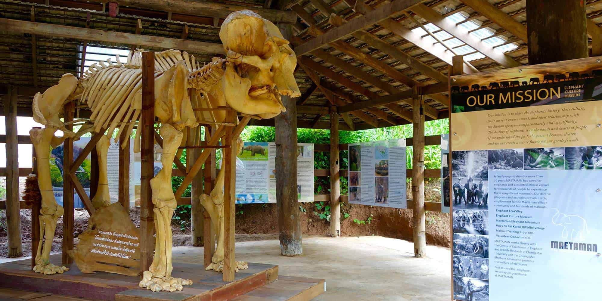 Walk with elephants at the eco-travel, wilderness adventure and Elephant Culture Museum at Elephant EcoValley near Chiang Mai.