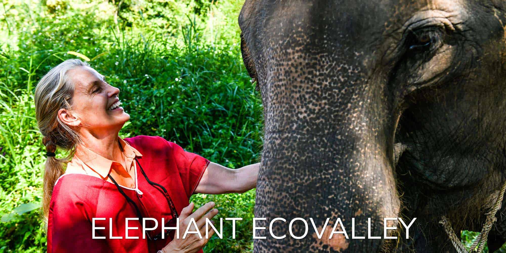 Walk with elephants at the eco-travel, wilderness adventure at Elephant EcoValley near Chiang Mai.