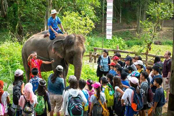 You want to be UP-CLOSE AND PERSONAL WITH ELEPHANTS? Come learn about your buddies at ELEPHANT ECOVALLEY for the best day trips from Chiang Mai.