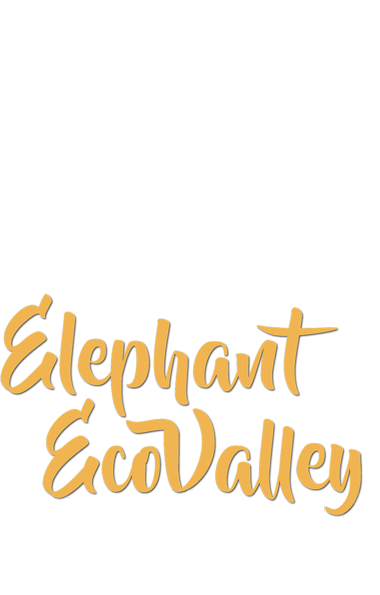 New logo for Elephant EcoValley no-riding wilderness adventure in Northern Thailand near Chiang Mai