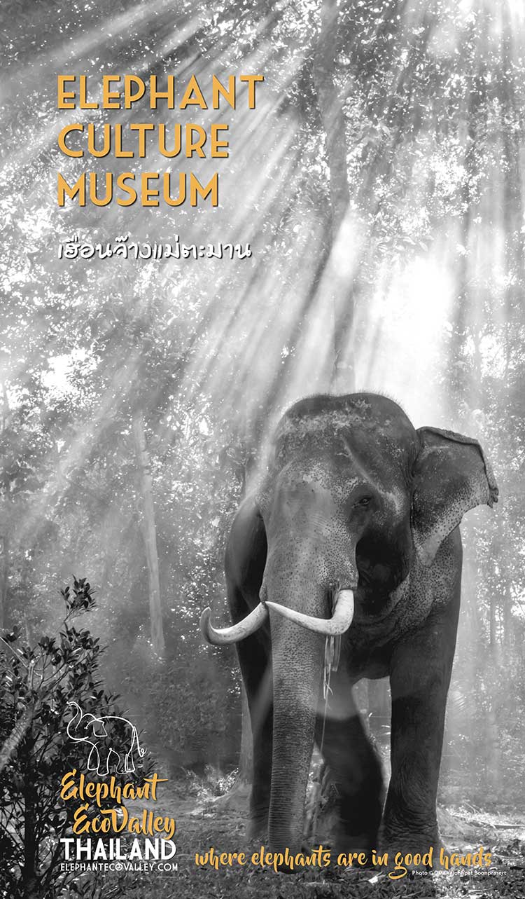 The mission of our elephant museum in Thailand at Elephant EcoValley - share the elephants’ history, culture, current environment, and relationship with the human species—compassionately and scientifically.