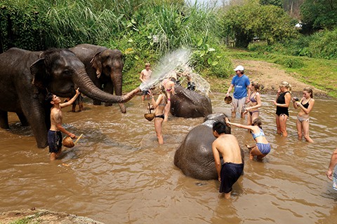 Guests bathing elephants at Elephant EcoValley near Maetaman Elephant Adventure in Thailand
